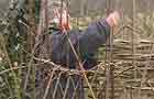 Weave the willow