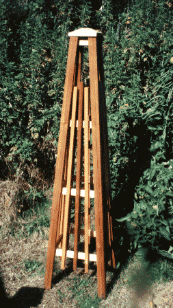 Garden Obelisks on Garden Obelisks