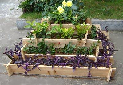 Raised Garden  on Raised Bed