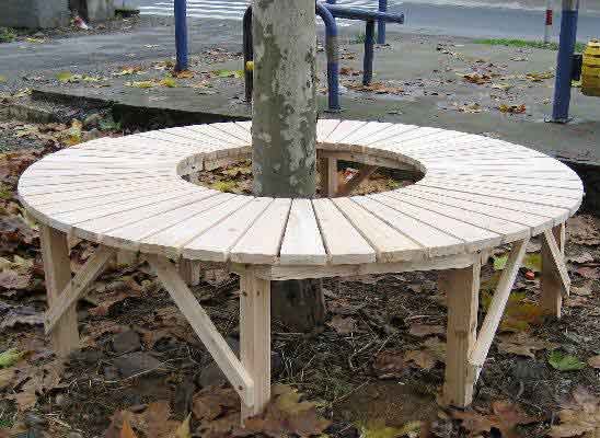 tree benches wood