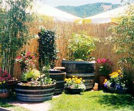 Wine Barrel Water Garden