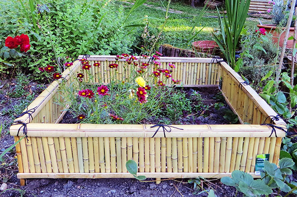 Image of Raised bed with green bamboo fence