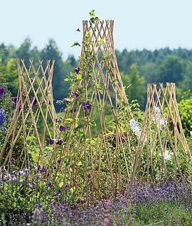 60-Inch Master Garden Products Carbonized Barkless Peeled Willow Round Teepee Trellis 