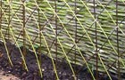 Create a willow structure