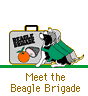 Meet the Beagle Brigade
