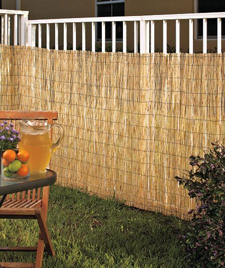 Reed fencing deals